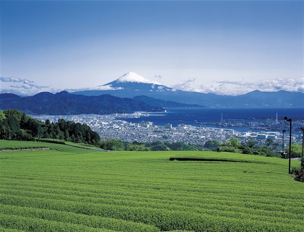 Shizuoka Kita Washington Hotel Plaza Luaran gambar